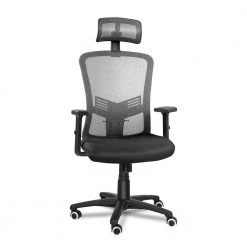 20.9 in. W Big and Tall Gray Mesh Ergonomic Chair with Adjustable Height by Siavonce